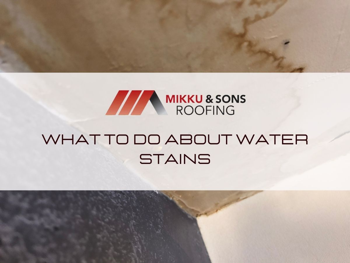 Water Stains, What You Should Do - Mikku & Sons Roofing