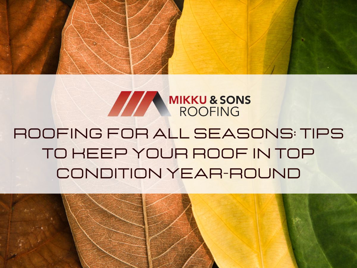 Roofing For All Seasons Tips To Keep Your Roof In Top Condition Year